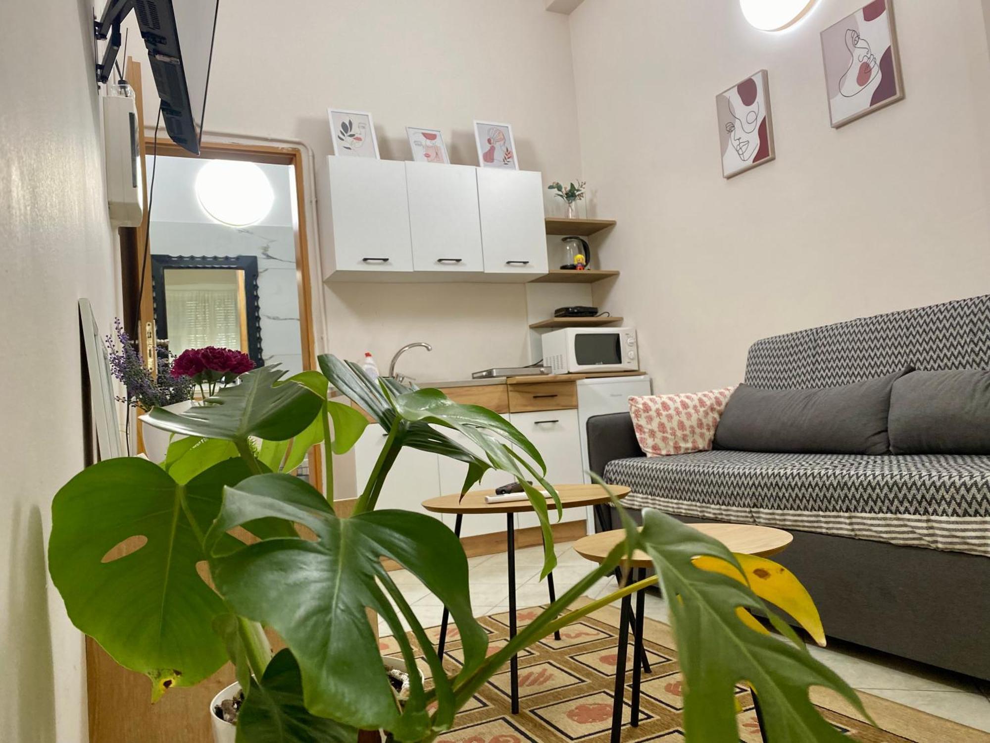 Dori'S Wilson Studio At Blloku Neighborhood Тирана Экстерьер фото